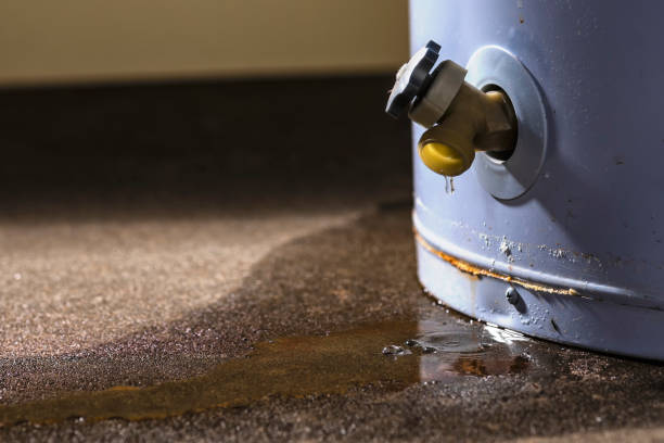 Best 24/7 water damage repair  in Shoemakersville, PA