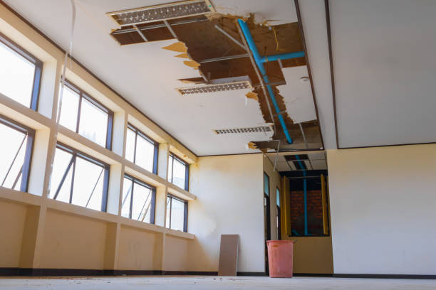 Best Local water damage restoration  in Shoemakersville, PA