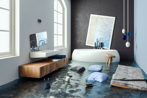 Best Water damage restoration company  in Shoemakersville, PA