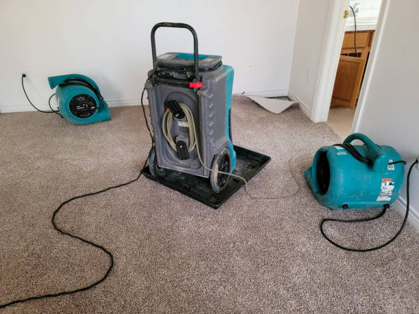 Water damage restoration insurance claims in Shoemakersville, PA