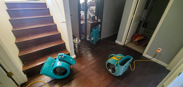  Shoemakersville, PA Water damage restoration Pros