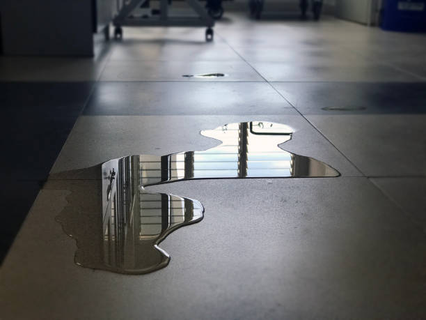 Best Commercial water damage restoration  in Shoemakersville, PA