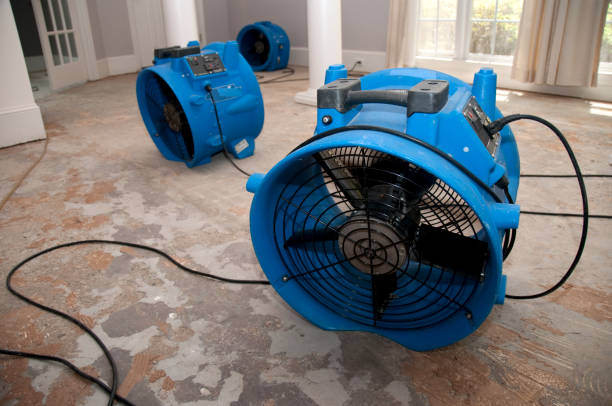Best Carpet water damage restoration  in Shoemakersville, PA