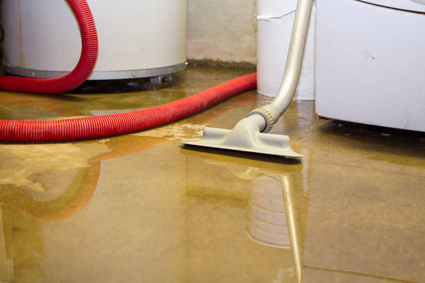 Best Flooded house restoration  in Shoemakersville, PA