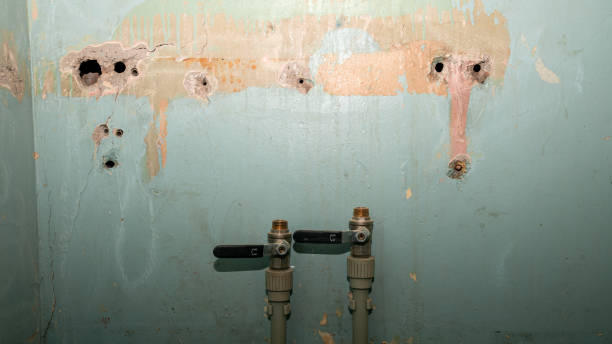 Best Flooded house restoration  in Shoemakersville, PA