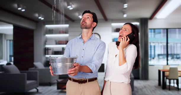Best Local water damage restoration  in Shoemakersville, PA