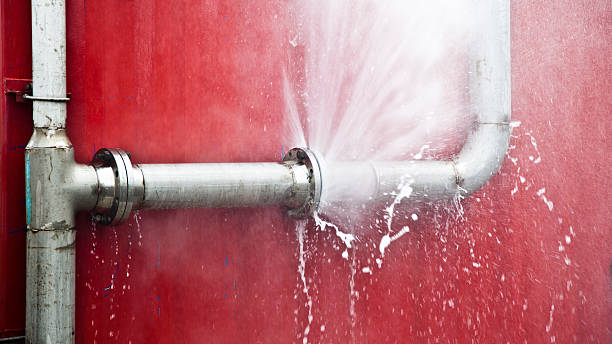 Best Sewage cleanup and water damage restoration  in Shoemakersville, PA